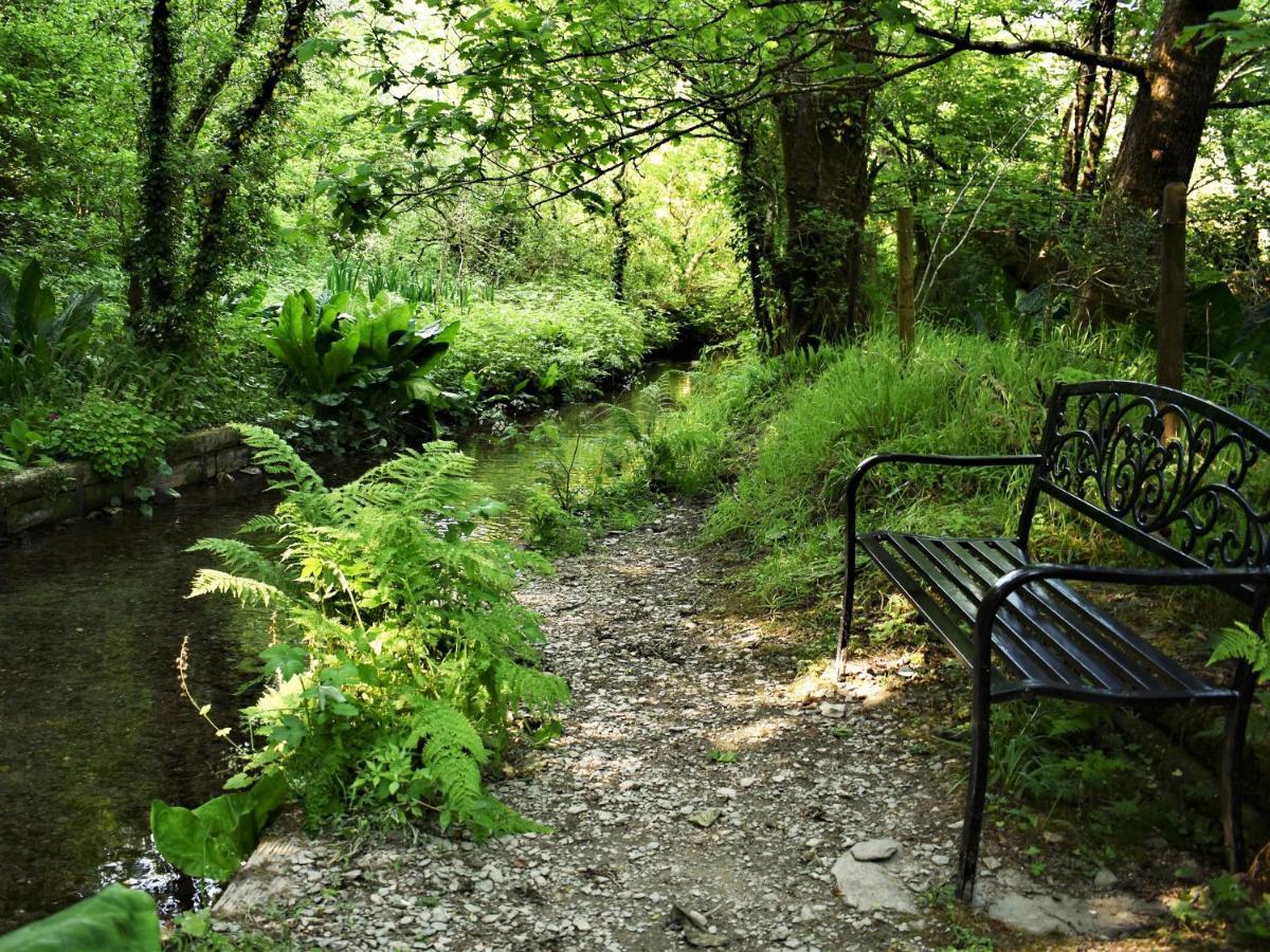 Red Kite Villa Llanwinio Dış mekan fotoğraf